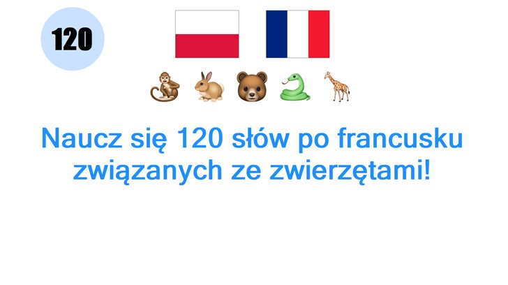 Naucz się 120 słów po francusku związanych ze zwierzętami!